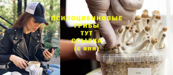 каннабис Алексеевка