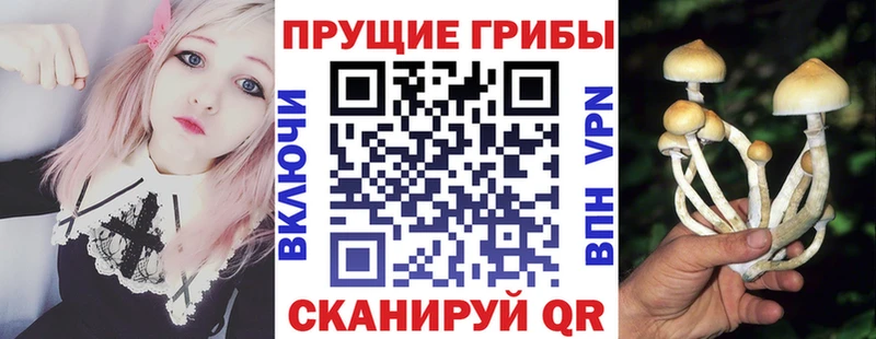 Псилоцибиновые грибы Psilocybe  гидра зеркало  Зеленоградск 